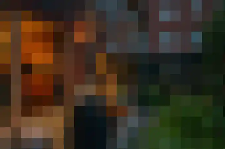 Wallegang 15 Groningen thumbnail 46