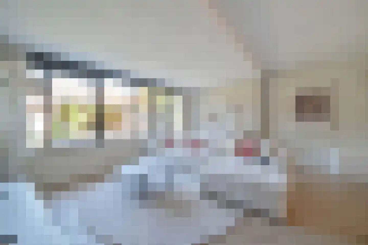 Wallenbergstraat 3 Putten thumbnail 8