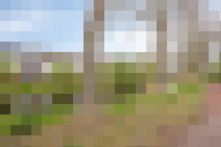 Wallenbergstraat 33 Hoofddorp thumbnail 28