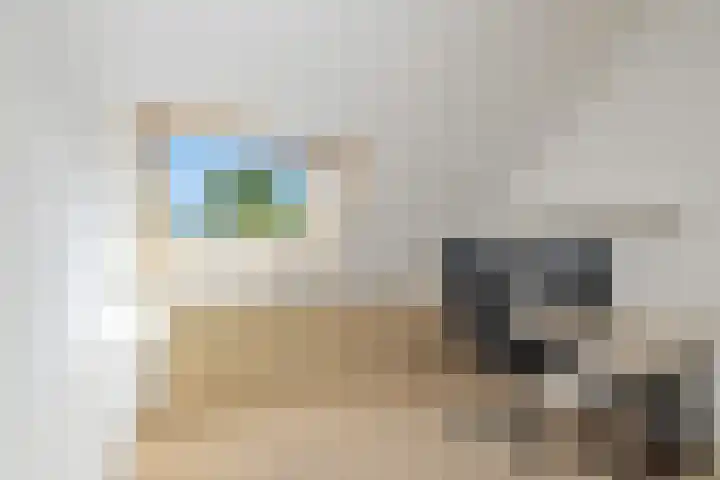Wallenbergstraat 37 Hoofddorp thumbnail 26
