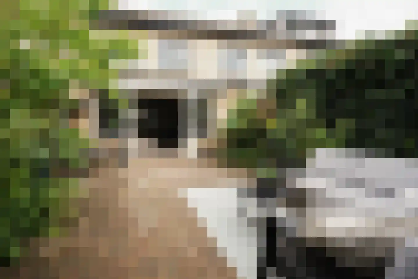 Wallenbergstraat 37 Putten thumbnail 23