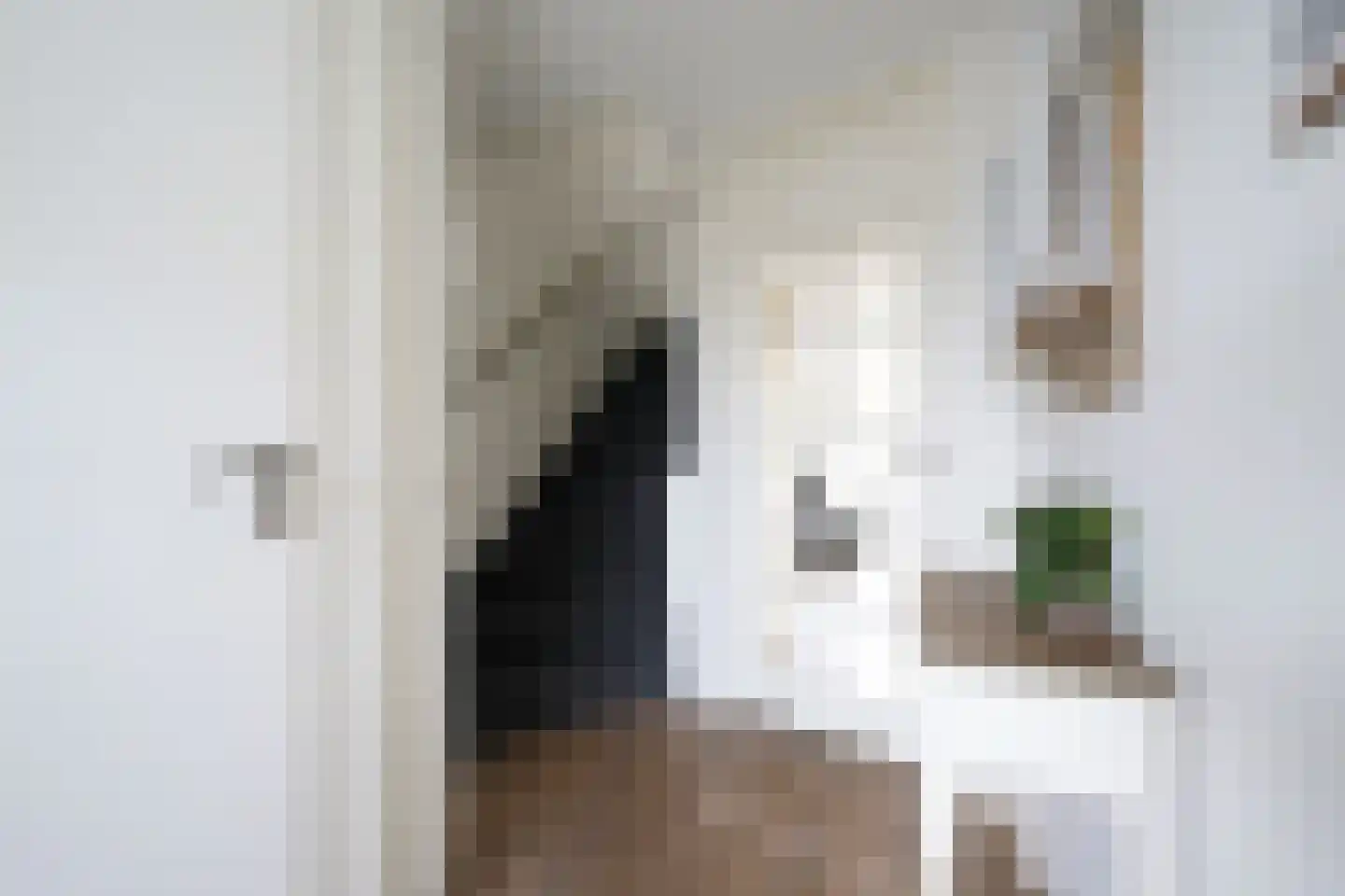 Wallenbergstraat 37 Putten thumbnail 37