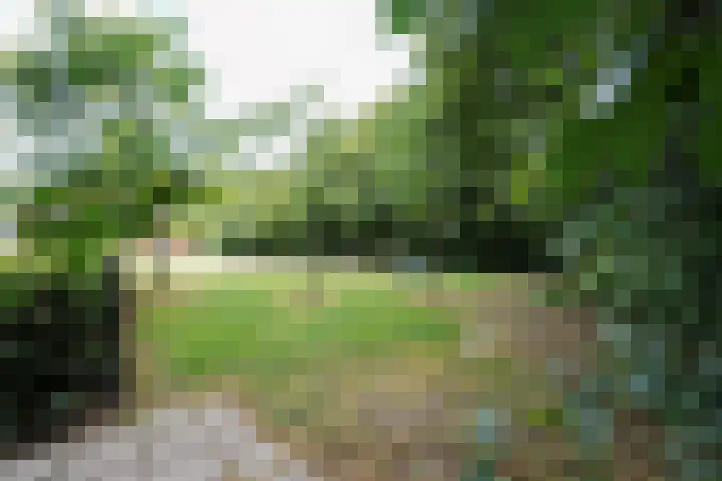 Wallenbergstraat 37 Putten thumbnail 62