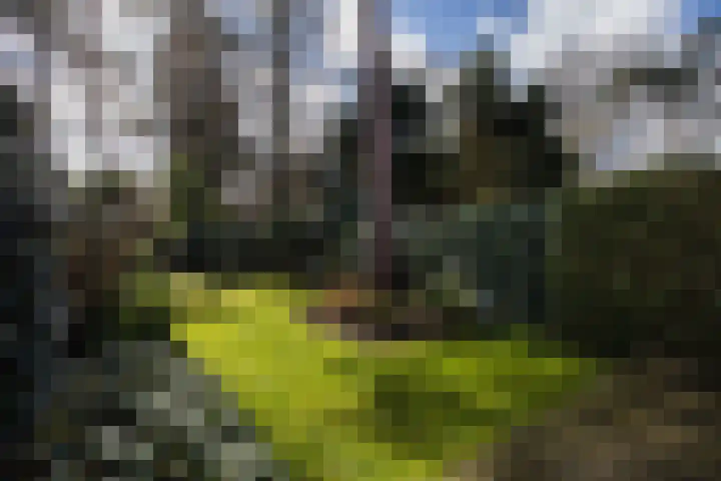 Wallenburg 37 Zeist thumbnail 47