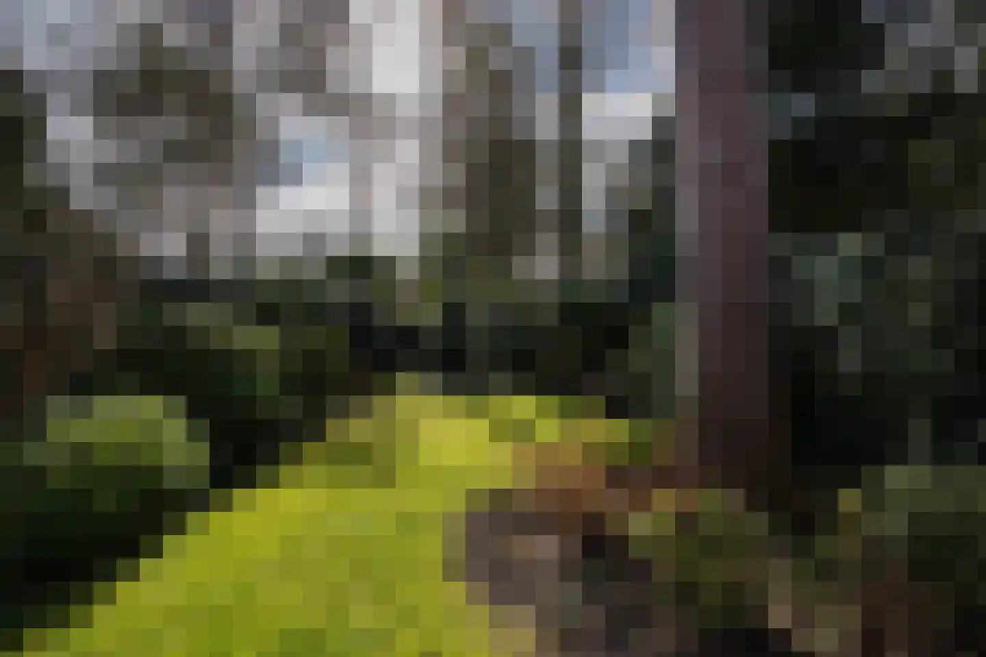 Wallenburg 37 Zeist thumbnail 49