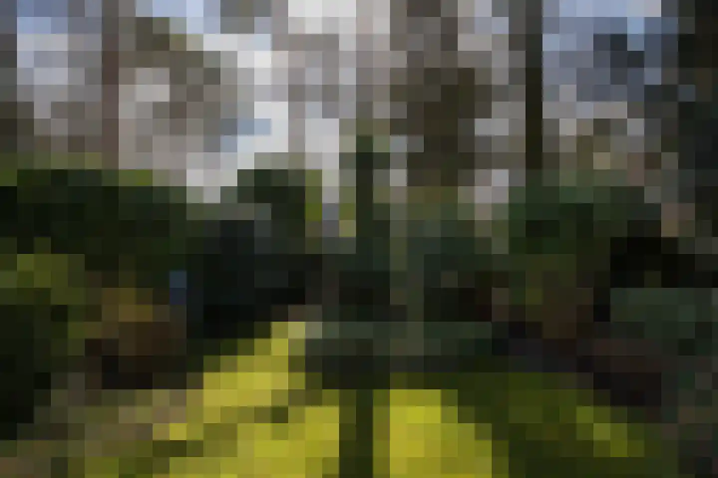 Wallenburg 37 Zeist thumbnail 50