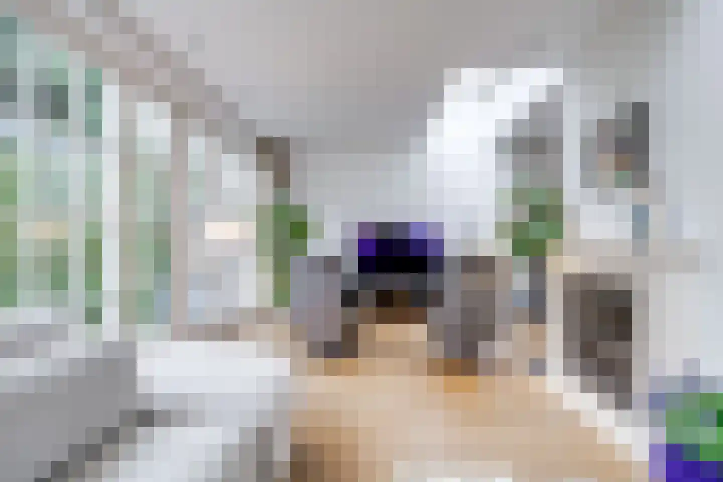 Wallenburg 37 Zeist thumbnail 7