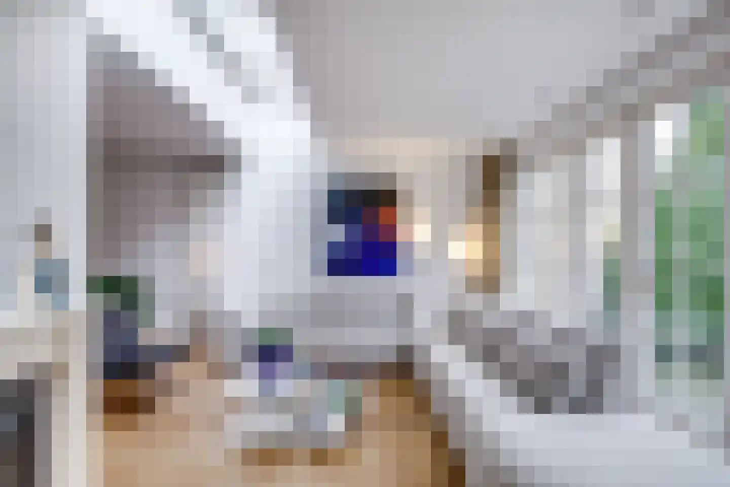 Wallenburg 37 Zeist thumbnail 9