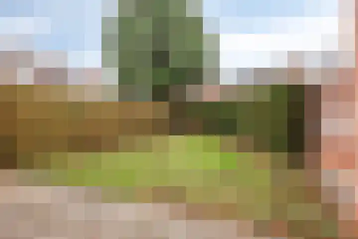Wallensgaard 1 Maastricht thumbnail 11
