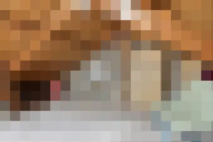 Wallensgaard 1 Maastricht thumbnail 18