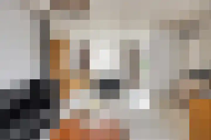 Wallensgaard 1 Maastricht thumbnail 7