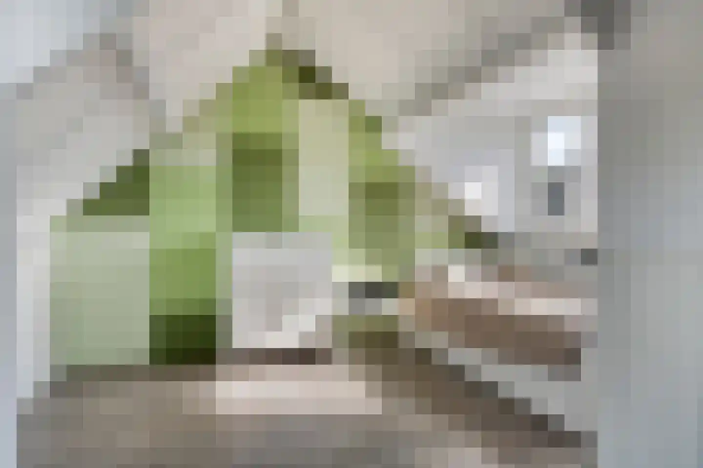 Wallensgaard 27 Maastricht thumbnail 24