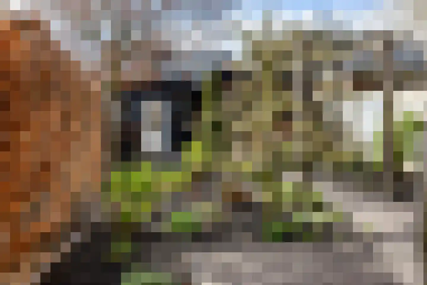 Wallerstraat 47 Nijkerk thumbnail 30