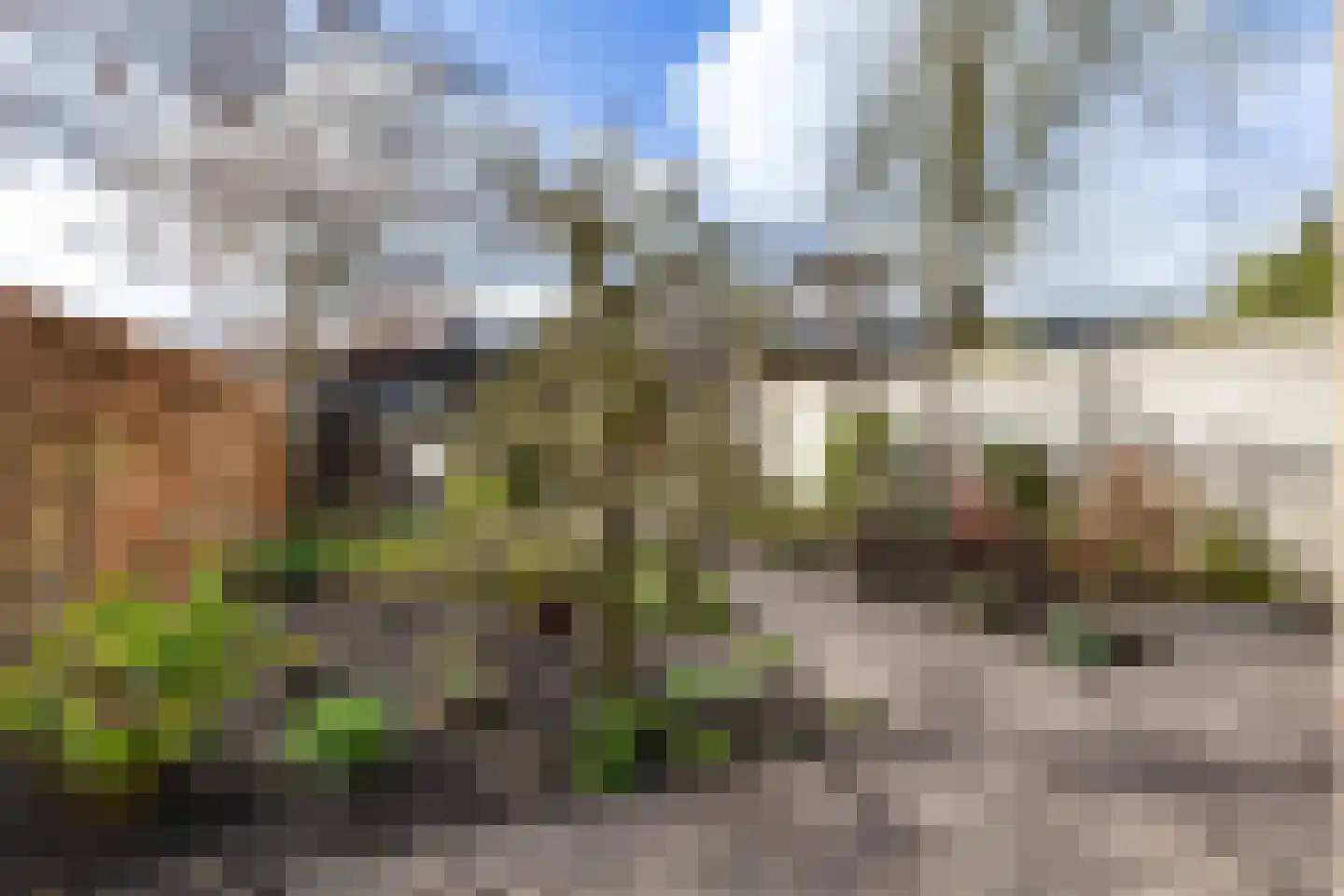 Wallerstraat 47 Nijkerk thumbnail 31