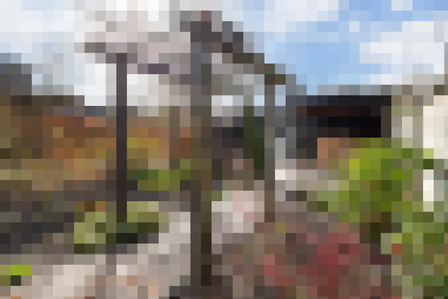 Wallerstraat 47 Nijkerk thumbnail 32
