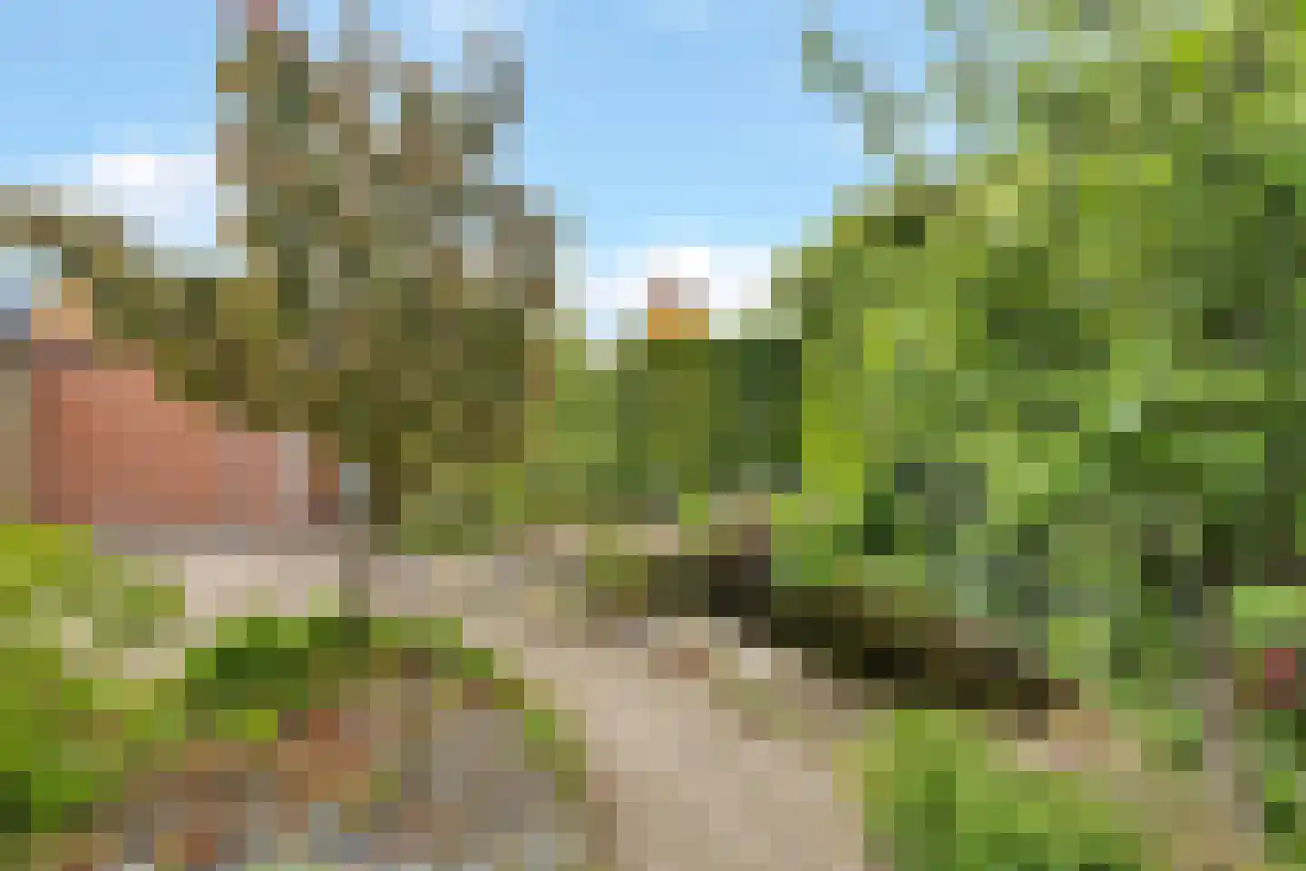 Wallerstraat 97 Nijkerk thumbnail 26