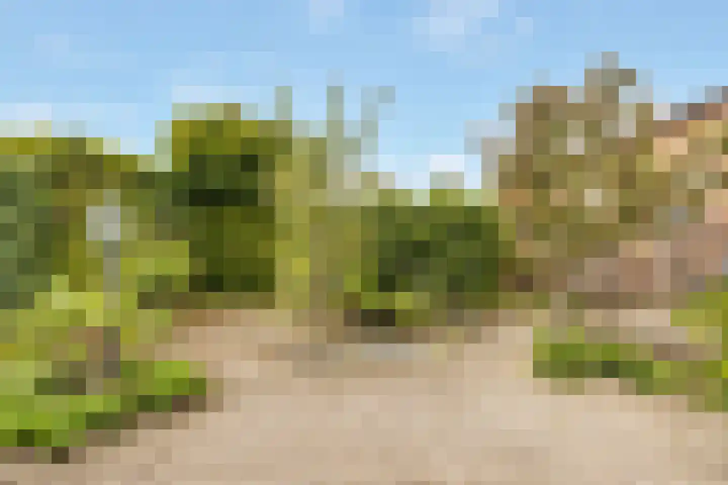 Wallerstraat 97 Nijkerk thumbnail 4