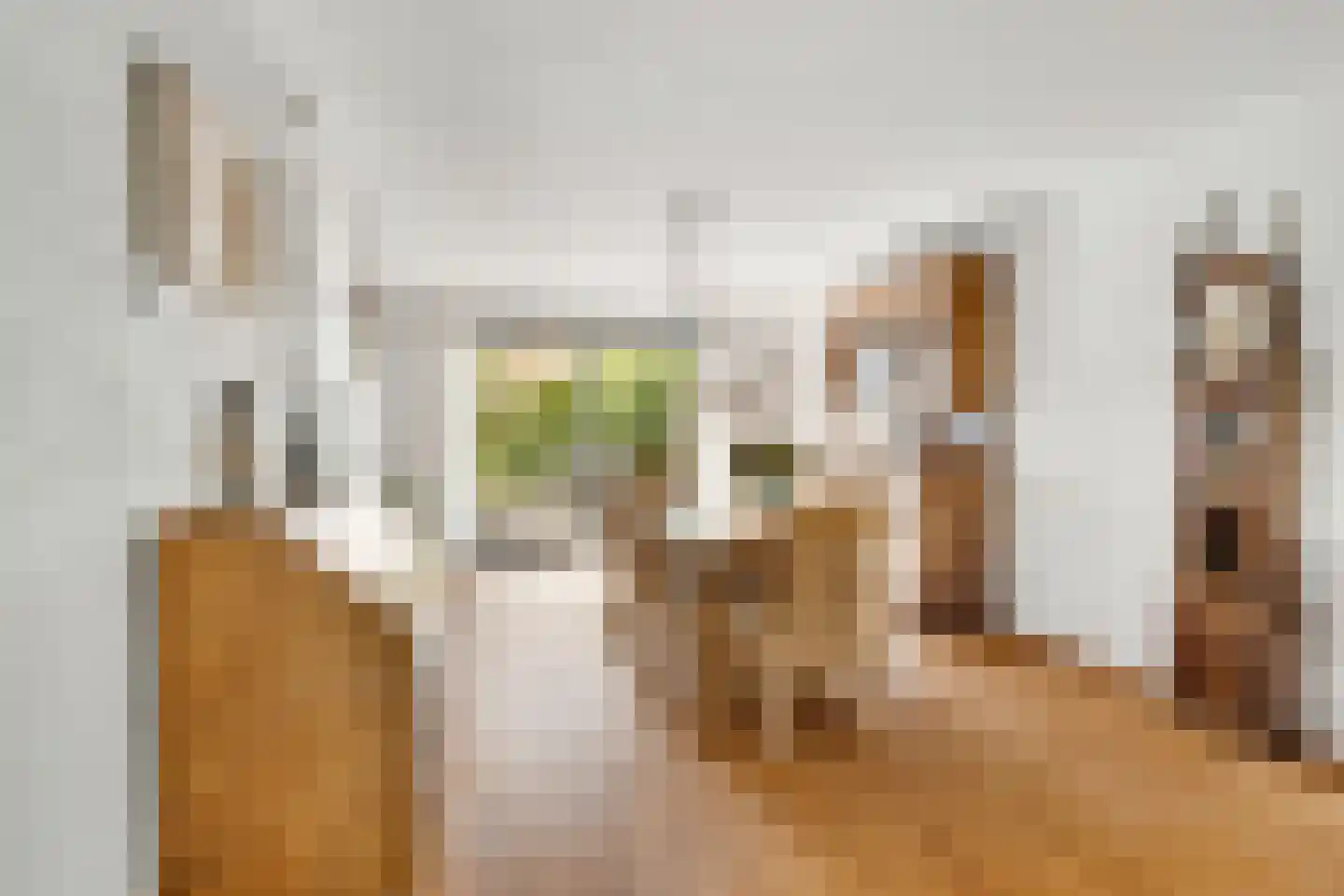 Wallerstraat 97 Nijkerk thumbnail 9