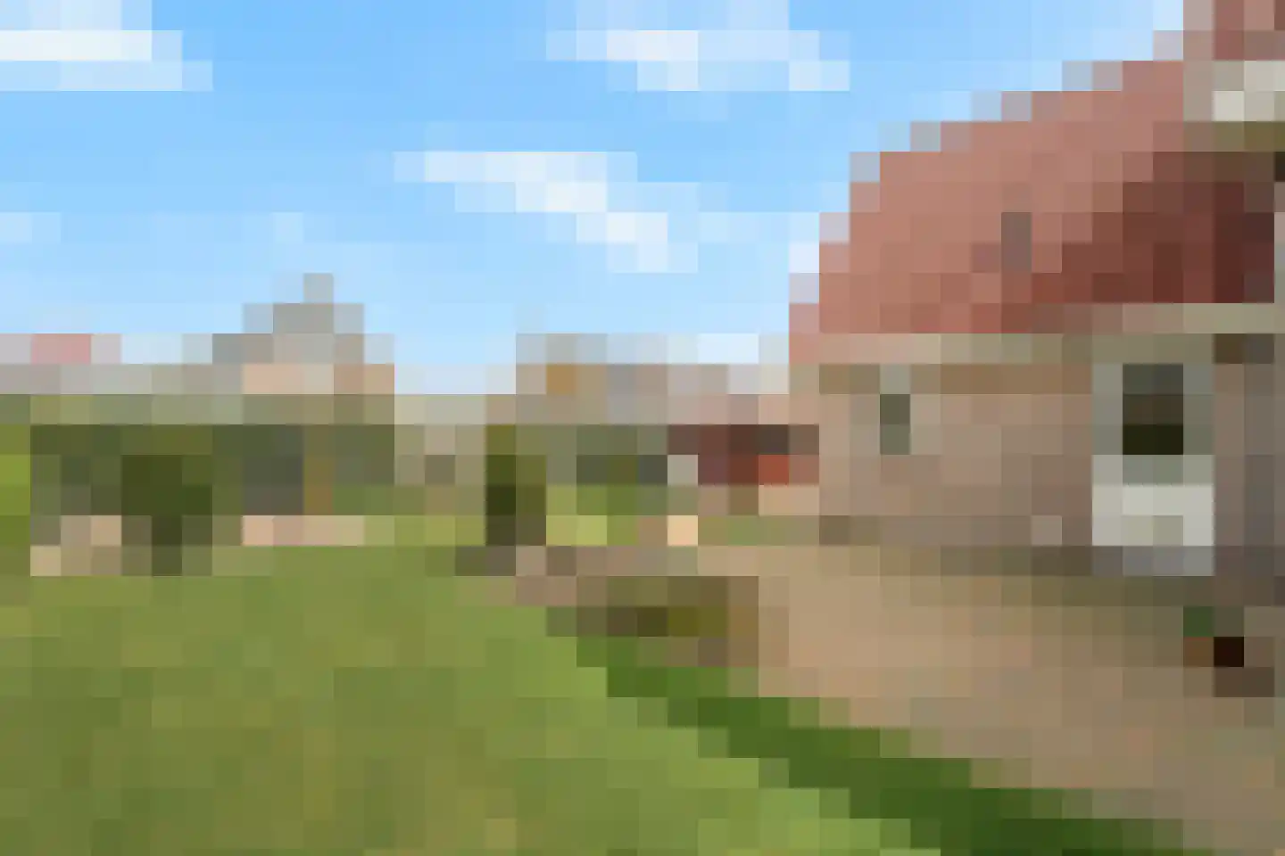 Wallerweg 20 c Breezand thumbnail 45