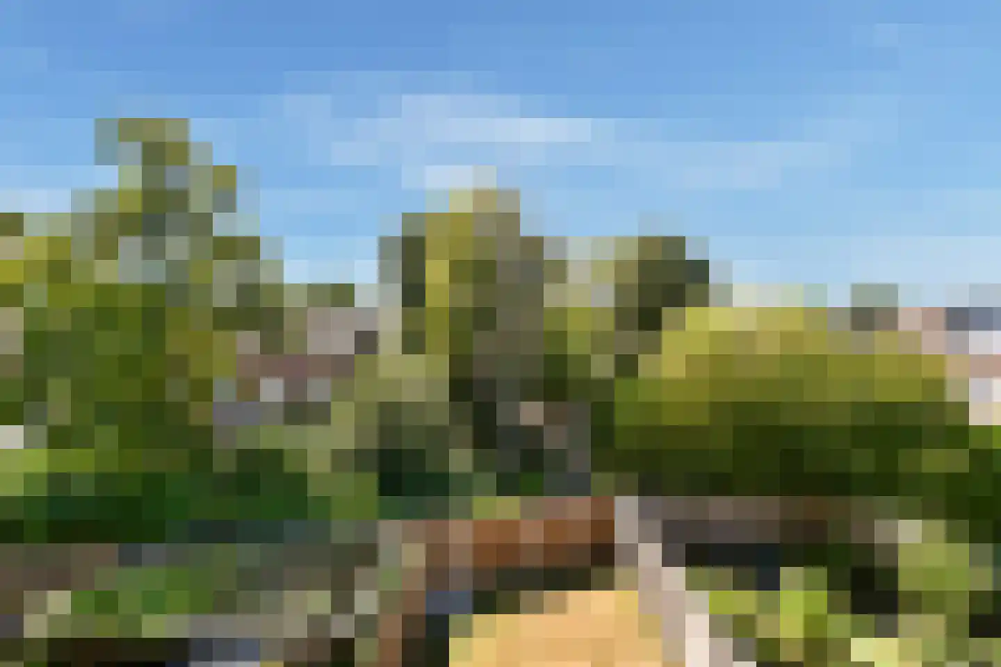 Wallestein 24 Loenen aan de Vecht thumbnail 12
