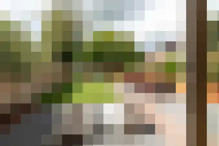 Wallestein 25 Loenen aan de Vecht thumbnail 32