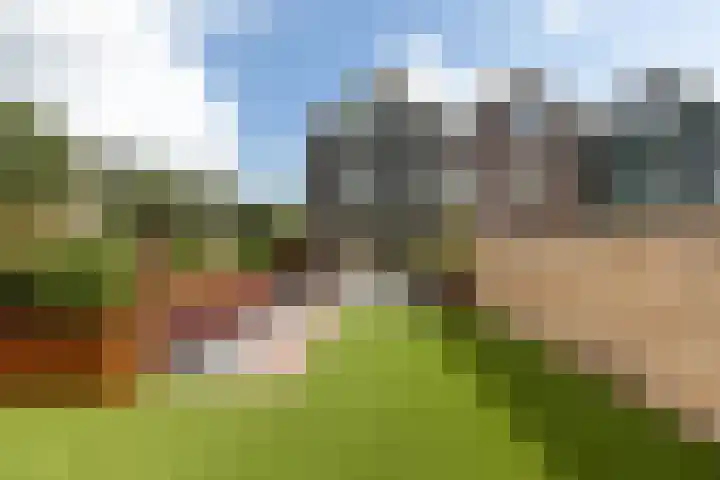 Wallestein 25 Loenen aan de Vecht thumbnail 35