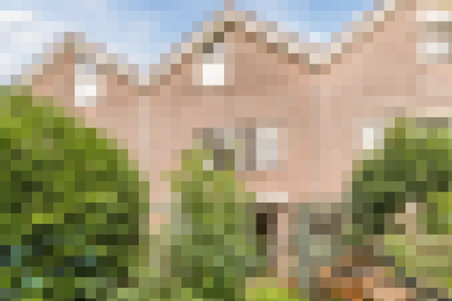 Wallestein 59 Loenen aan de Vecht thumbnail 36