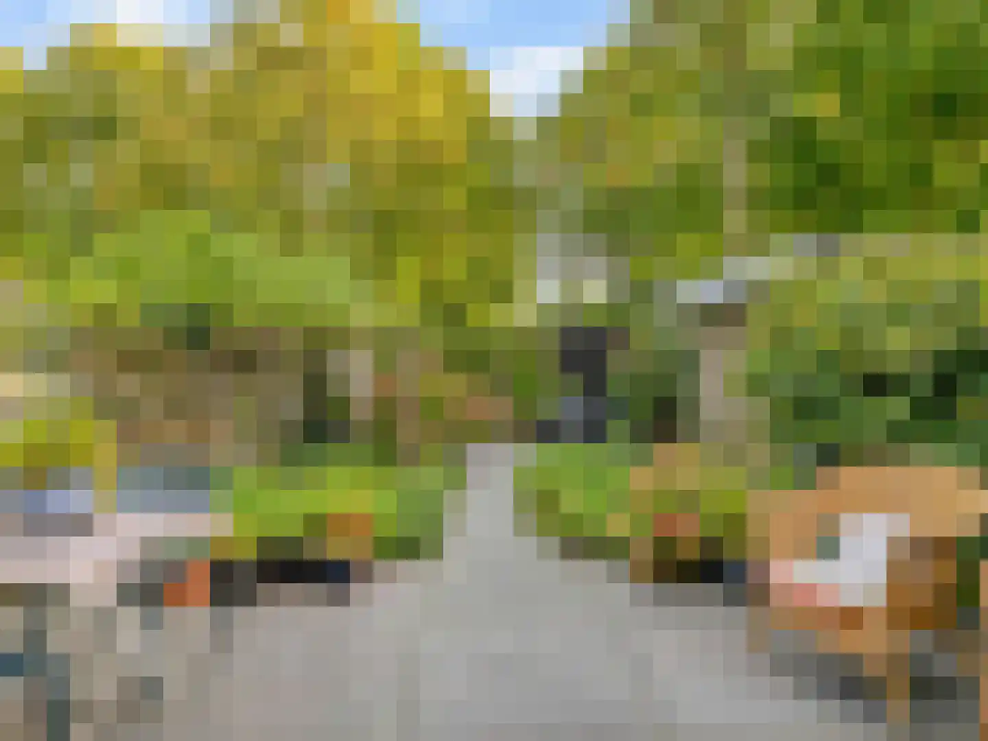 Wallestein 6 Loenen aan de Vecht thumbnail 32