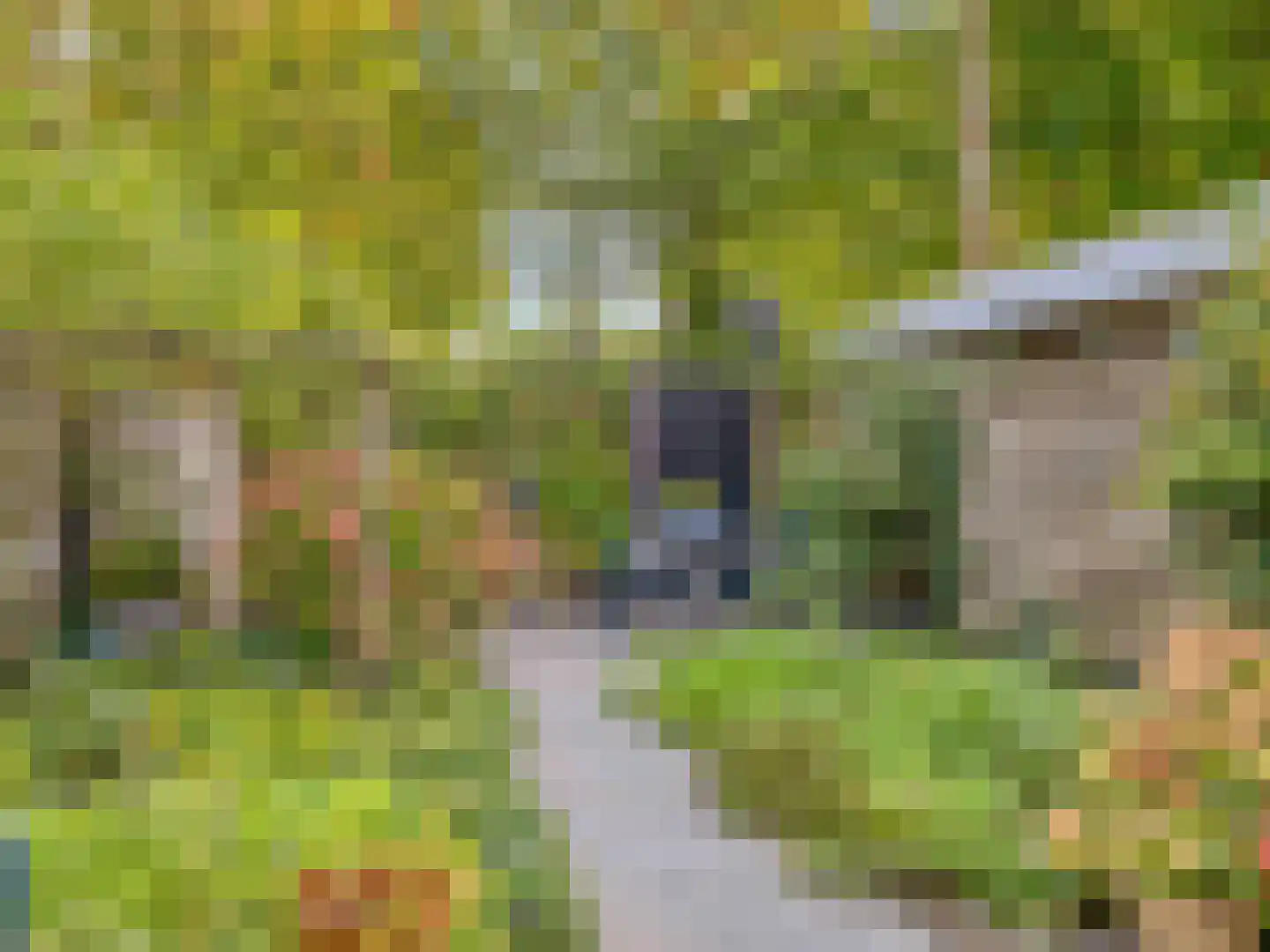 Wallestein 6 Loenen aan de Vecht thumbnail 33