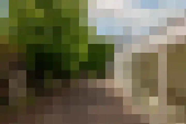 Wallestein 60 Amsterdam thumbnail 33