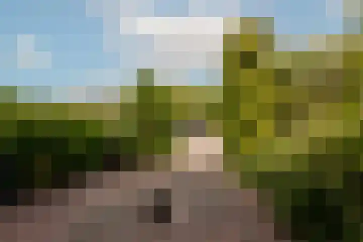 Wallestein 60 Amsterdam thumbnail 36