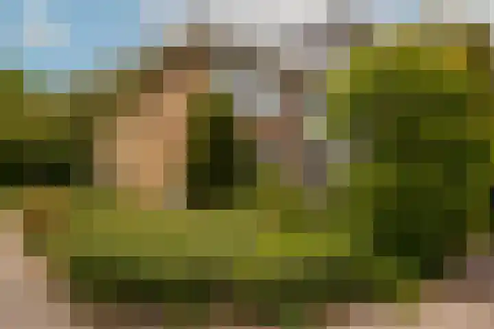 Wallestein 60 Amsterdam thumbnail 4
