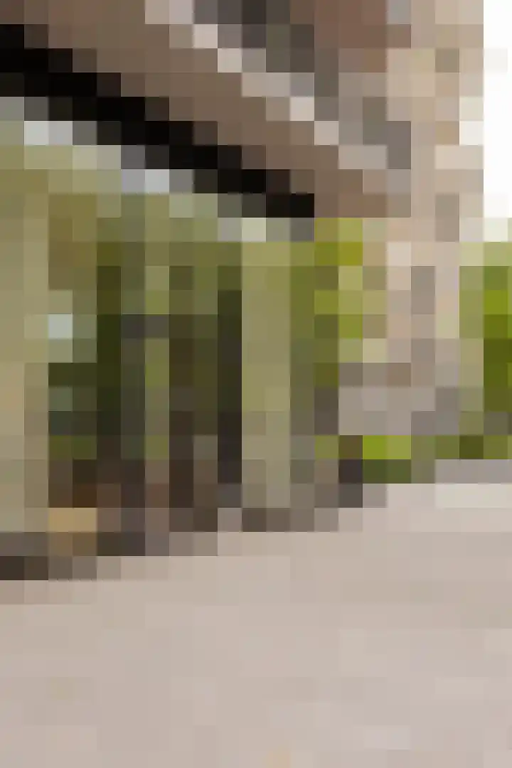 Wallestein 60 Amsterdam thumbnail 46