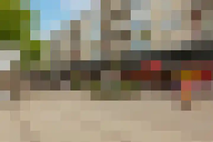 Wallestein 60 Amsterdam thumbnail 47