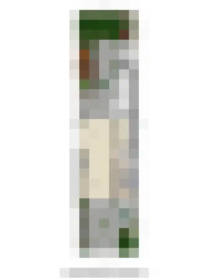 Wallestein 60 Amsterdam thumbnail 48