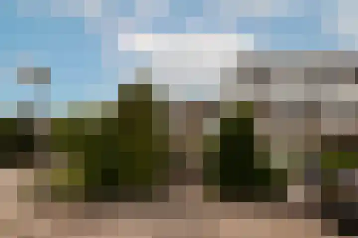 Wallestein 60 Amsterdam thumbnail 6