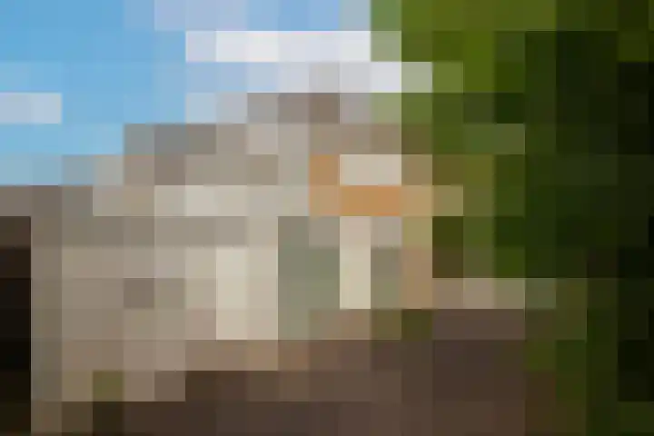Wallestein 60 Amsterdam thumbnail 7