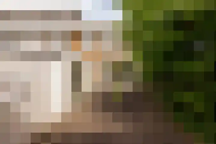 Wallestein 60 Amsterdam thumbnail 8