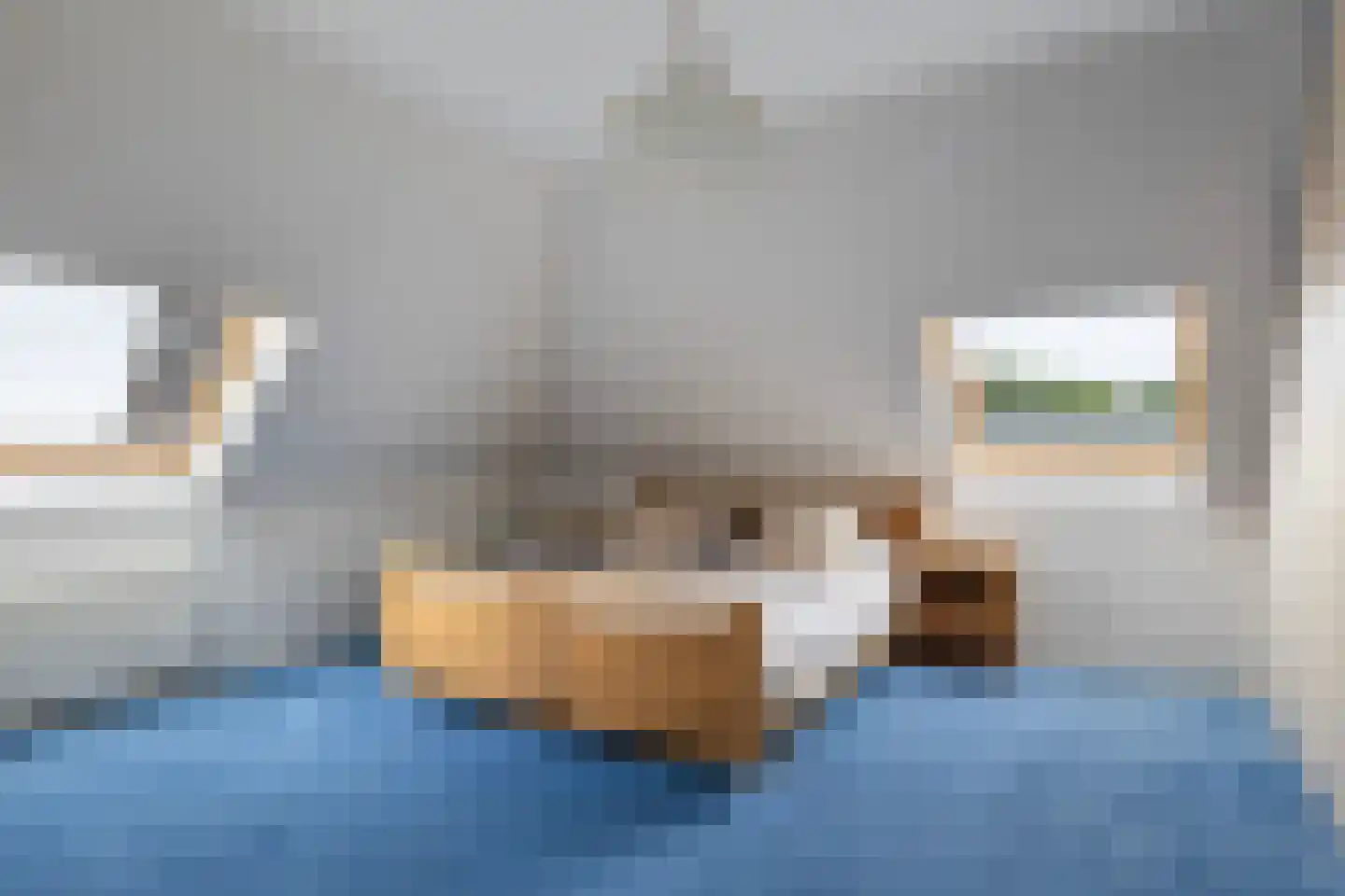 Wallinga's-trije 12 Hijum thumbnail 24