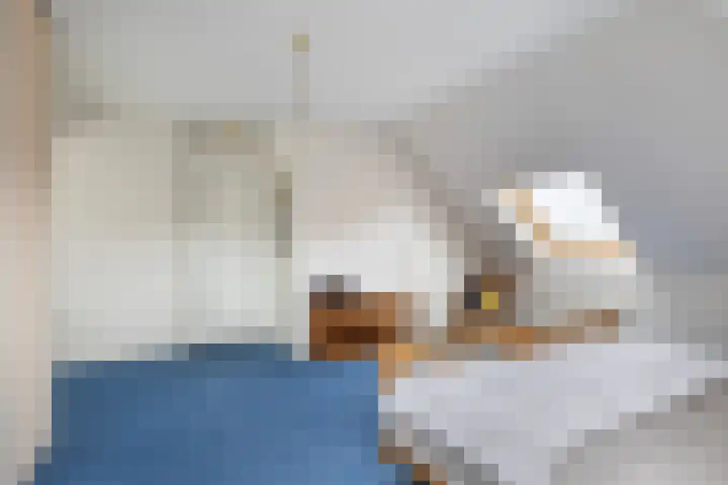Wallinga's-trije 12 Hijum thumbnail 25