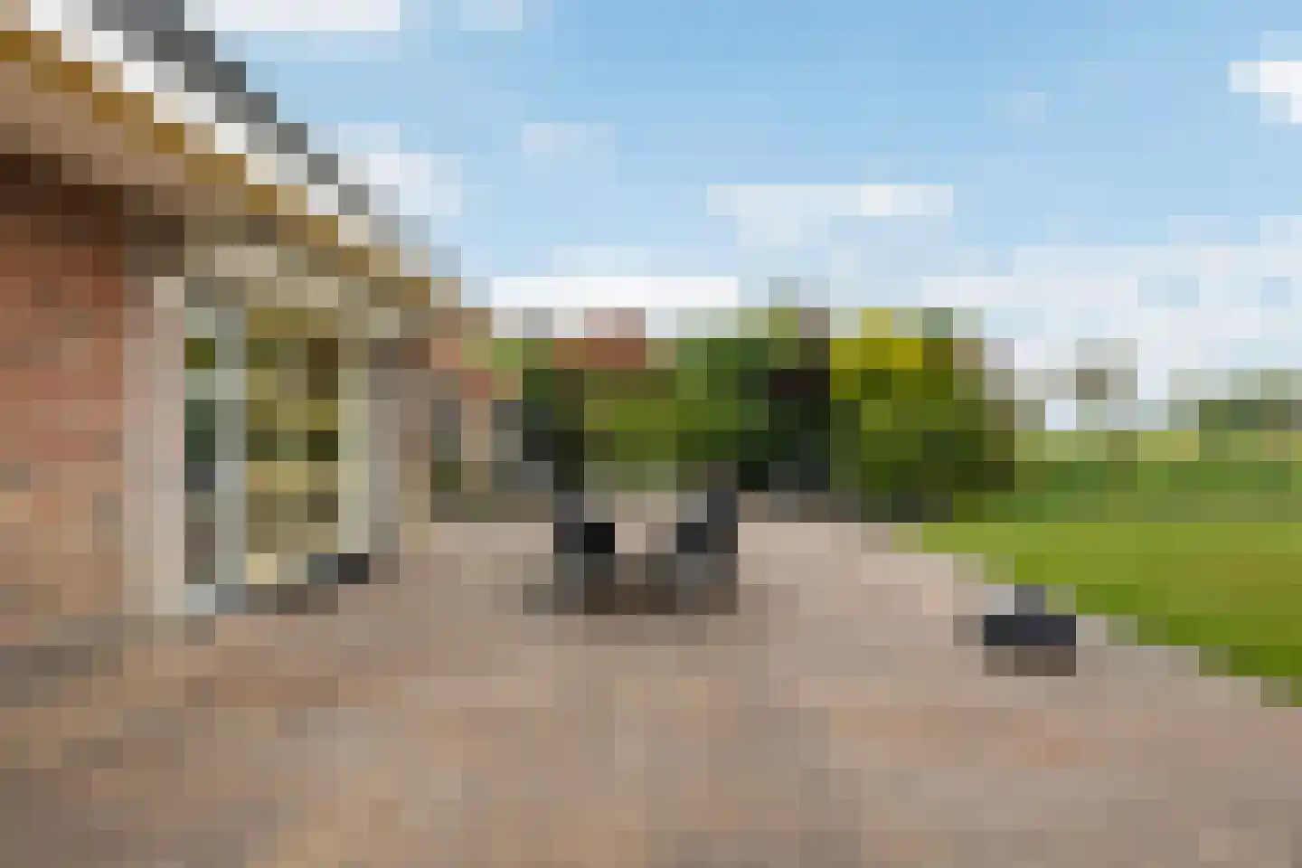 Wallinga's-trije 12 Hijum thumbnail 36