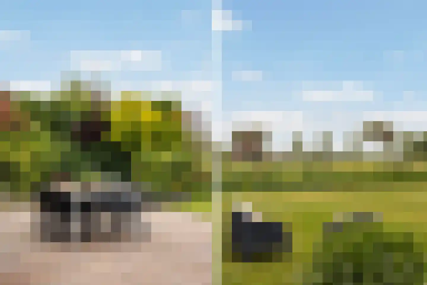 Wallinga's-trije 12 Hijum thumbnail 41