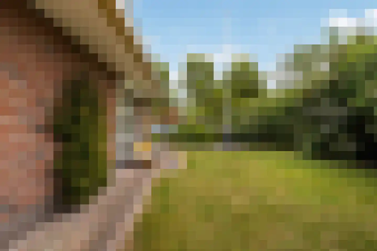 Wallinga's-trije 12 Hijum thumbnail 42