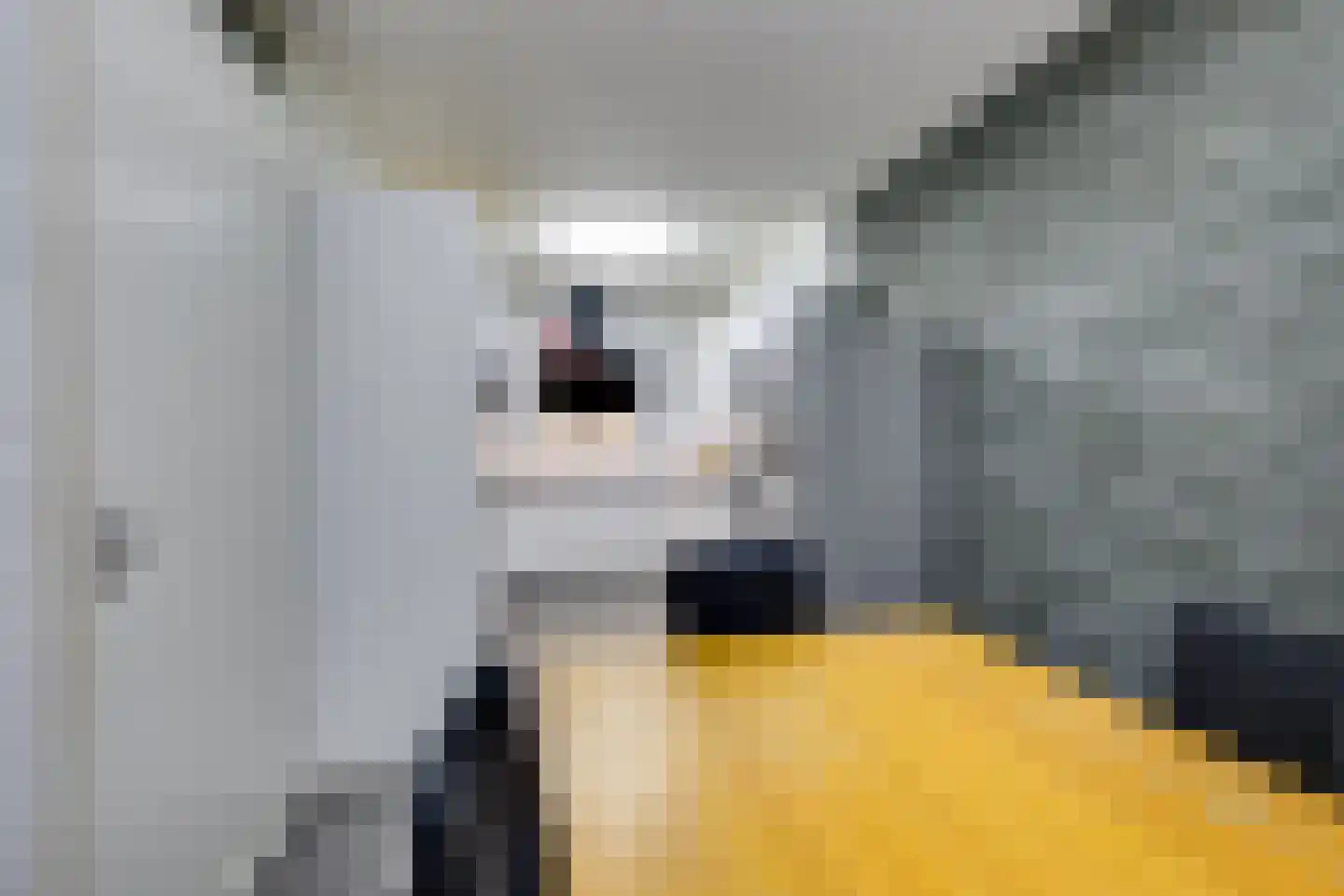 Wallisweg 53 Rotterdam thumbnail 21