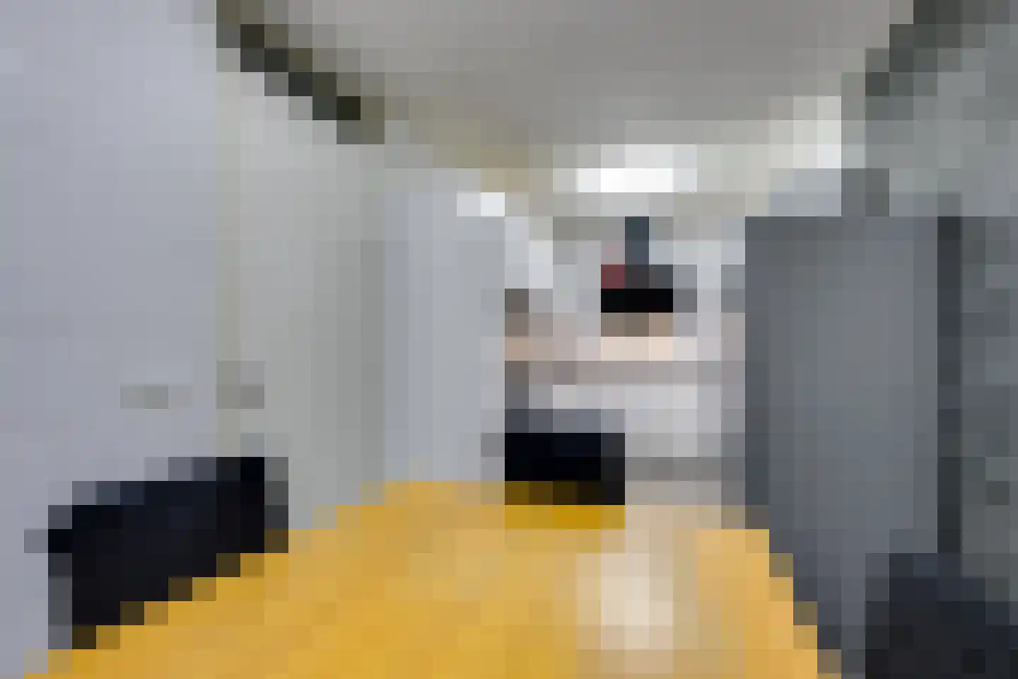 Wallisweg 53 Rotterdam thumbnail 22