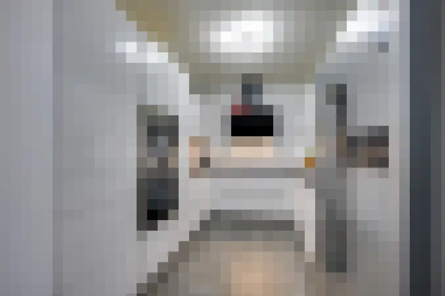 Wallisweg 53 Rotterdam thumbnail 23