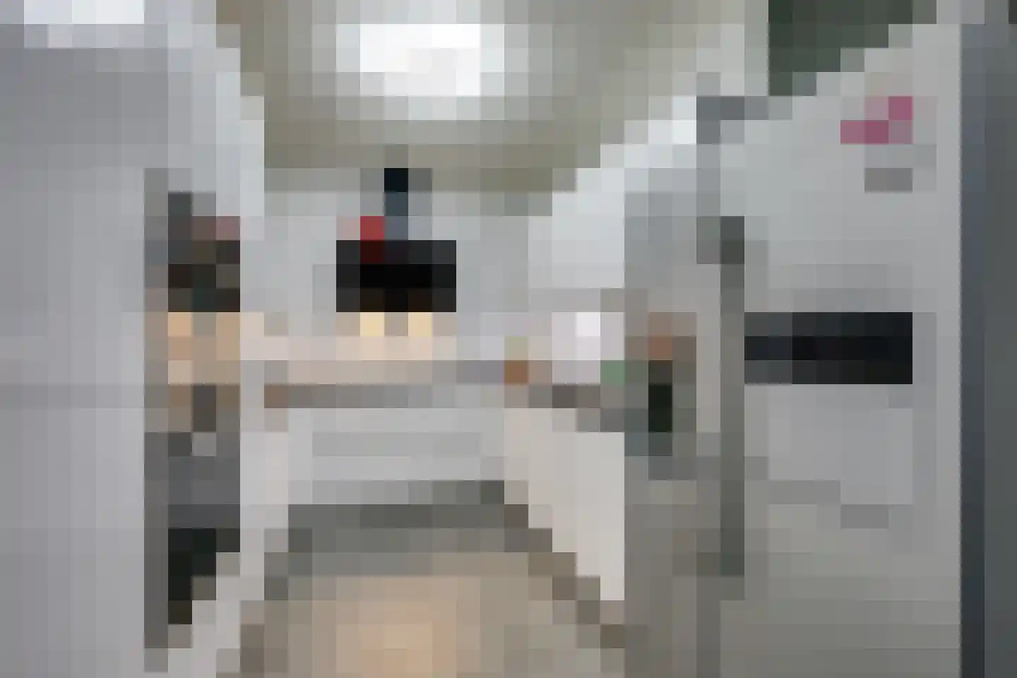 Wallisweg 53 Rotterdam thumbnail 24