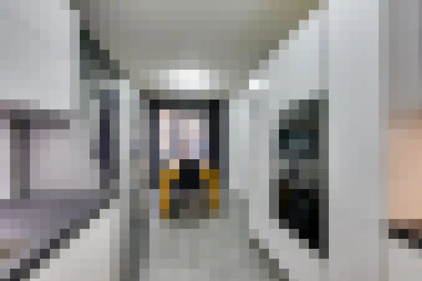 Wallisweg 53 Rotterdam thumbnail 25