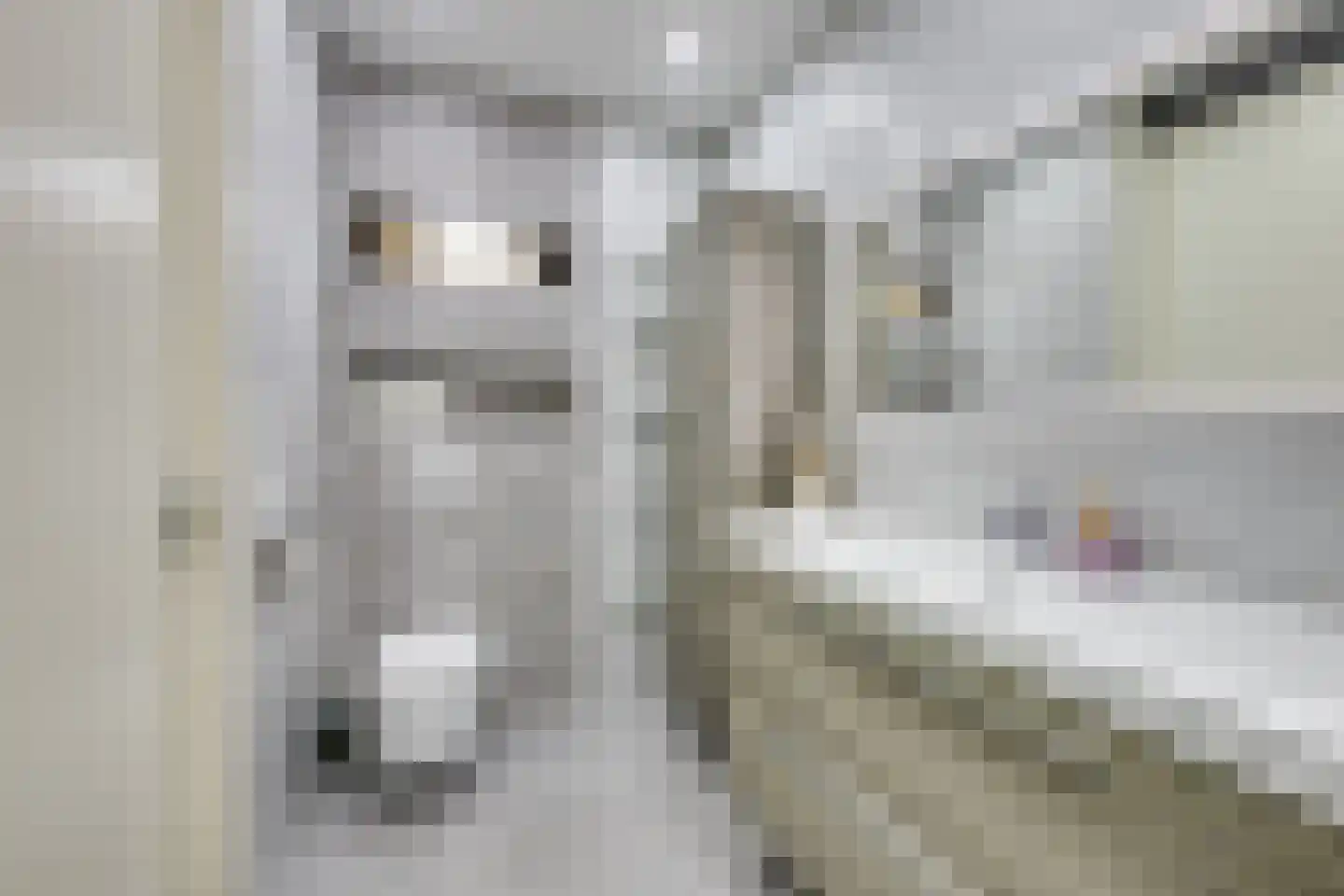 Wallisweg 53 Rotterdam thumbnail 39