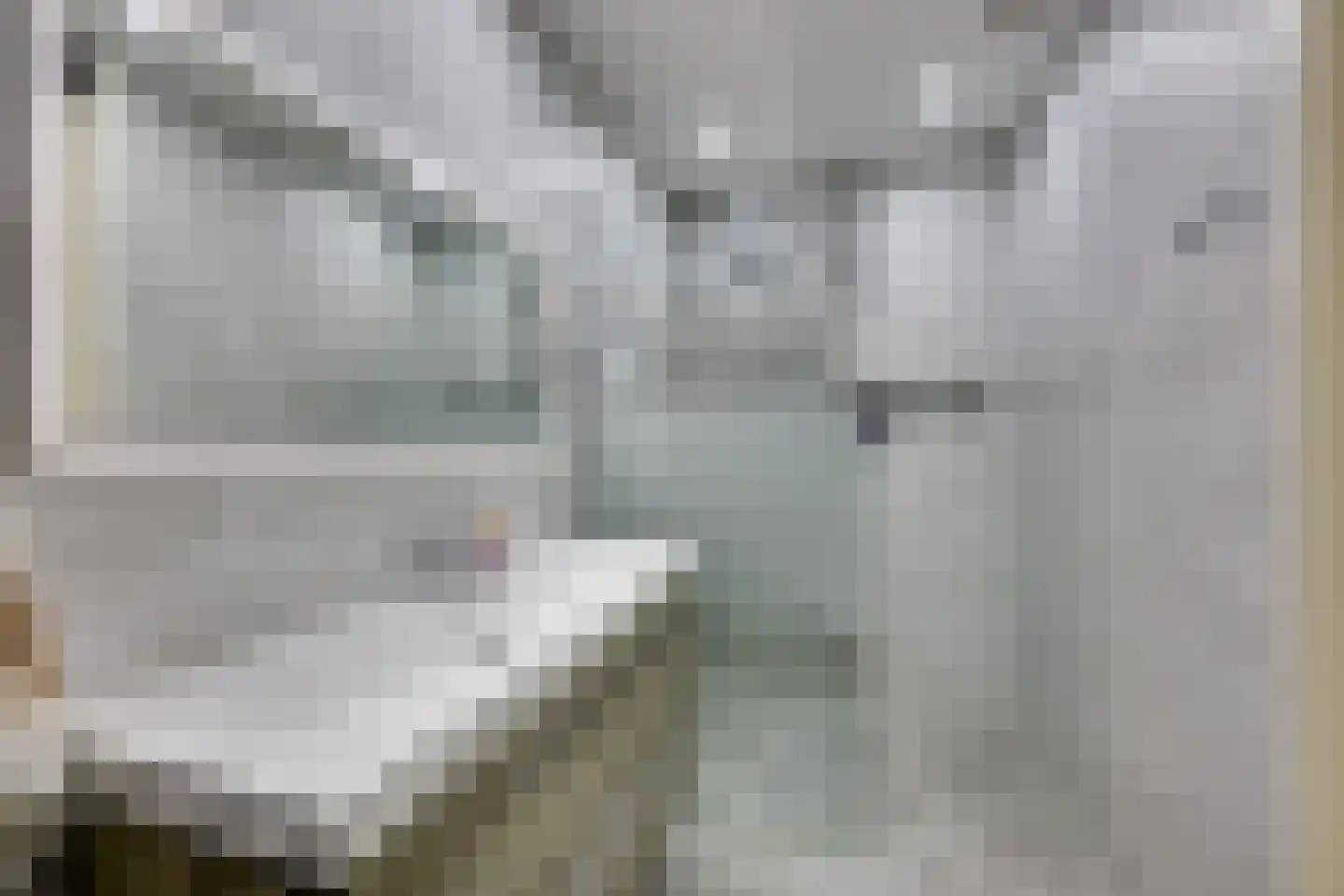 Wallisweg 53 Rotterdam thumbnail 6